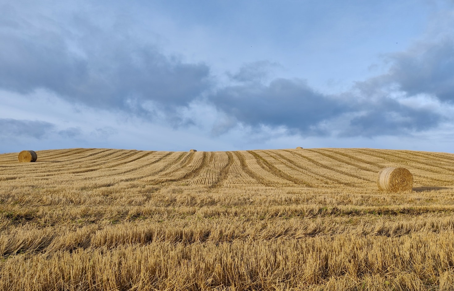 The Role of Advocacy in Environmental Justice