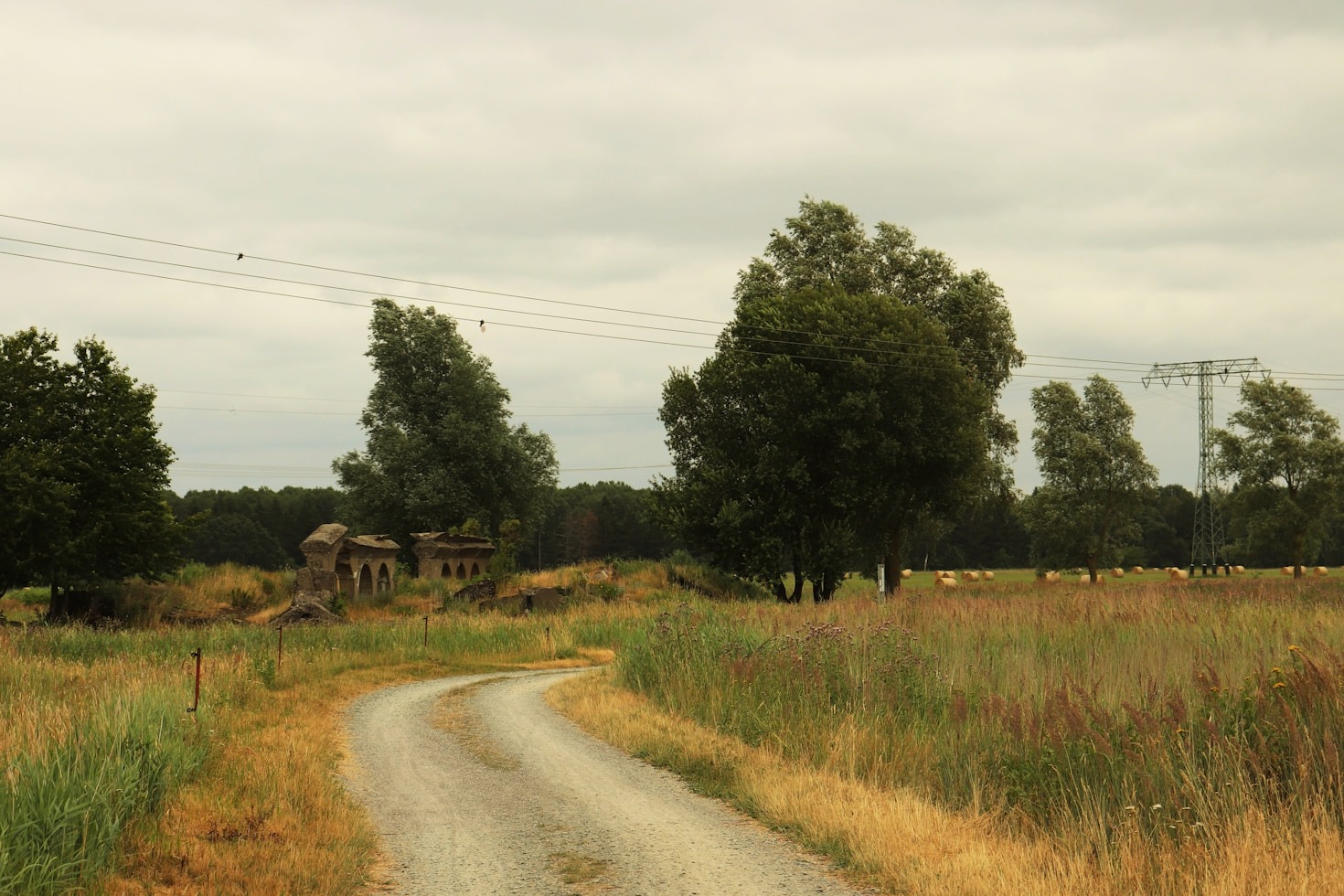 FIELD’s Mission to Protect Natural Resources