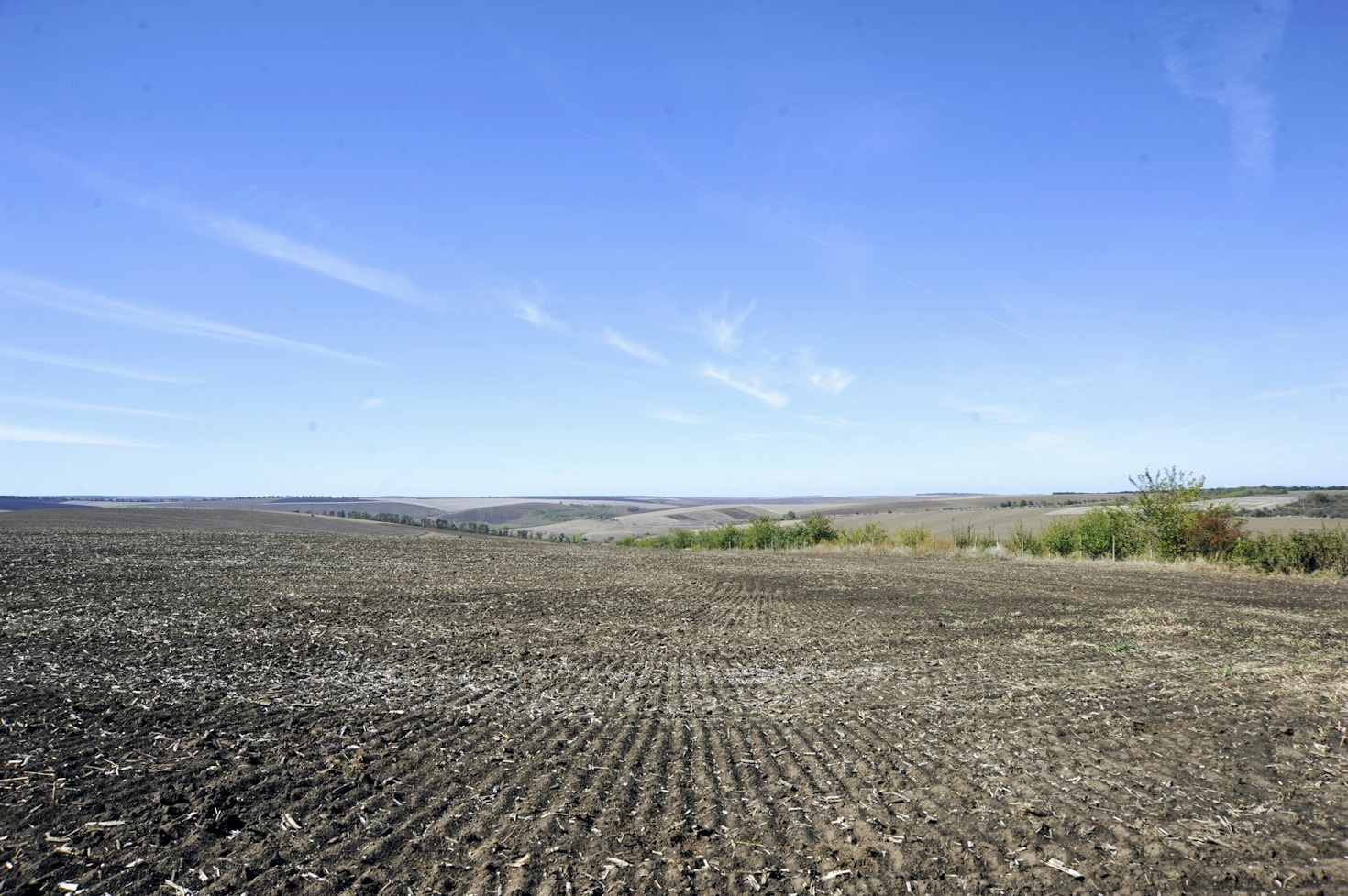 Corporate Exploitation: A Threat to Farmland